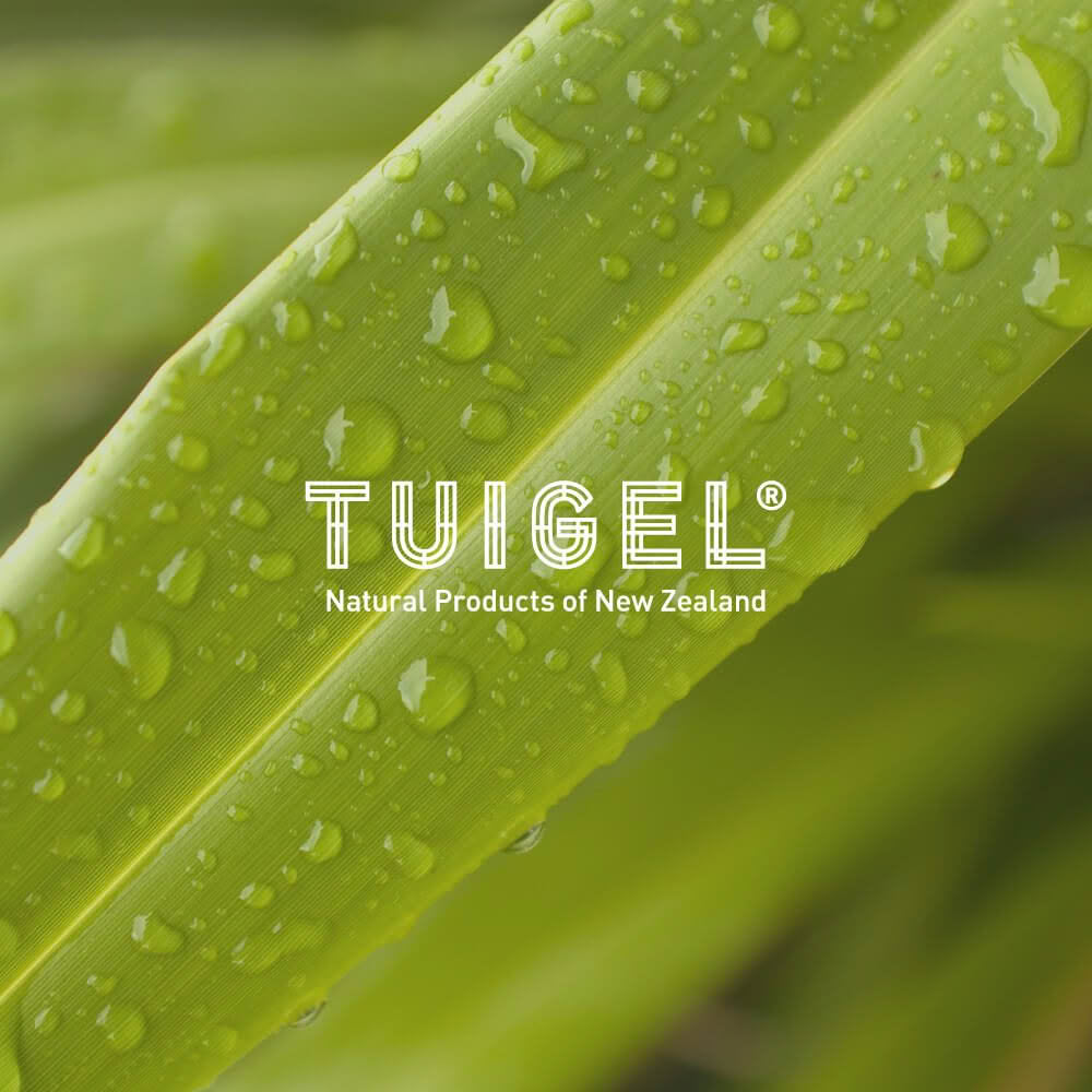 Tuigel